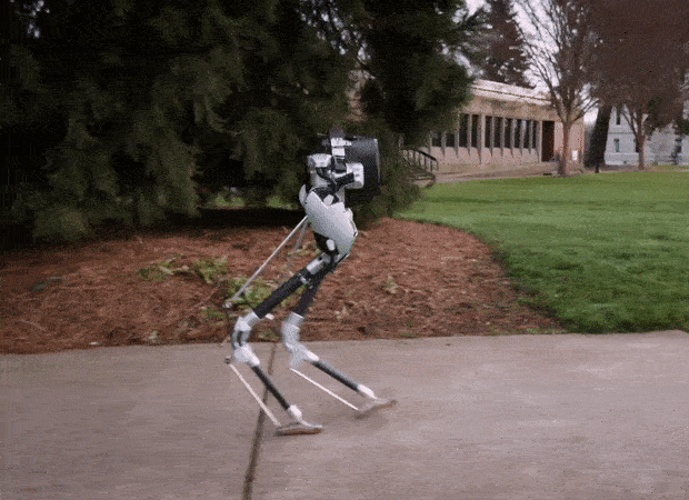 1488869531559025.gif 321ad6e.gif