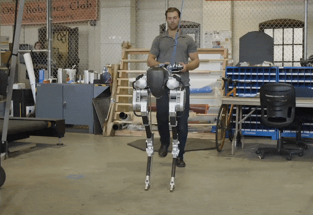1488869961849738.gif ccf7fb6.gif